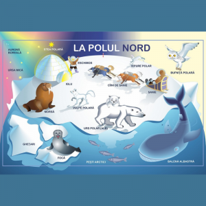 Vă invităm să faceți o excursie imaginară “La Polul Nord și la Polul Sud “