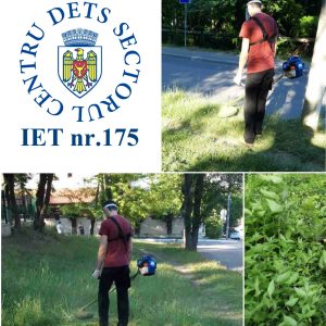 În cadrul Grădiniței nr.175 se muncește zilnic în vederea asigurării condițiilor conforme copiilor și angajaților instituției