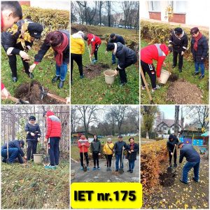 Campania de inverzire și plantare a arborilor de toamnă în IET nr. 175