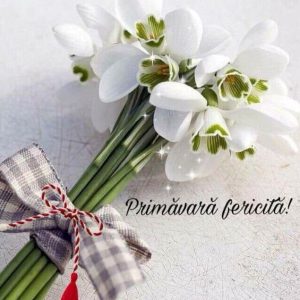 BUN VENIT DRAGA PRIMAVARA!!!
